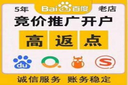 SEM托管公司成功案例：助力企业腾飞